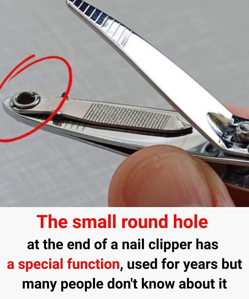 Why That Small Round Hole on Your Nail Clipper Matters – Especially for Older Adults 25 FB IMG 1761562489969