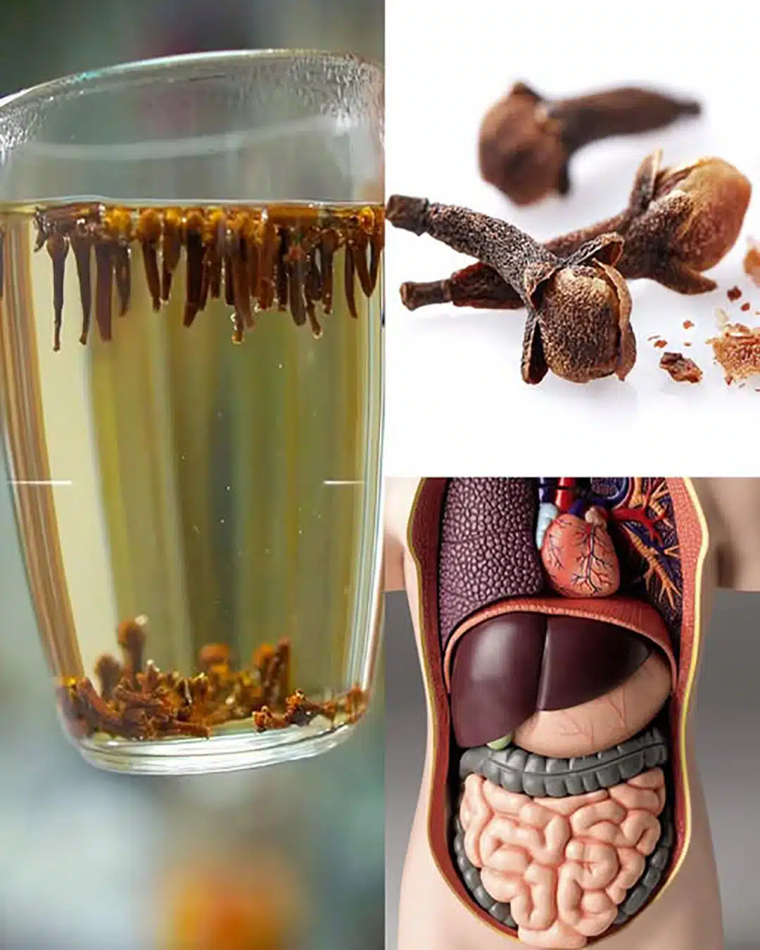 Clove Infusion: The Little-Known Drink with Surprising Virtues 25 eau de clous de girofle des bienfaits insoupconnes.jpg