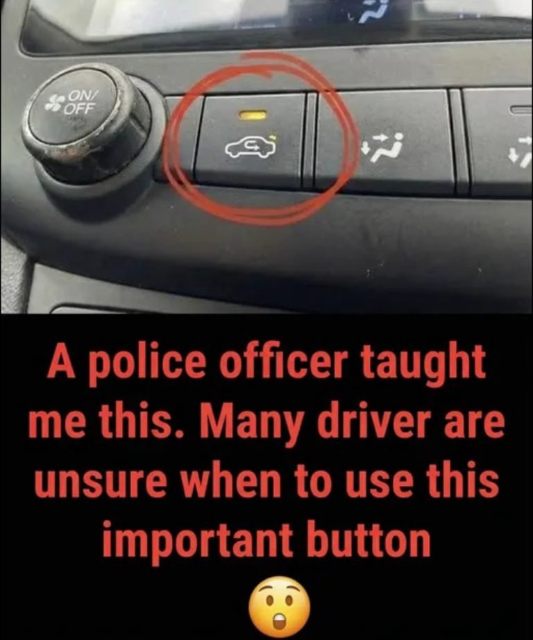 The Hidden Role of the Air Recirculation Button in Your Driving Experience 25 2 1 768x922 1
