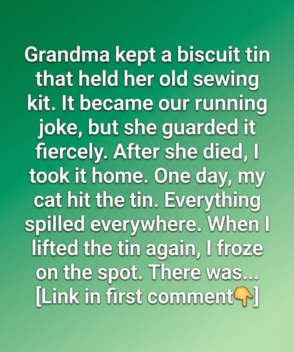 The Biscuit Tin My Grandmother Kept, and the Truth I Learned Much Later 25 2 13