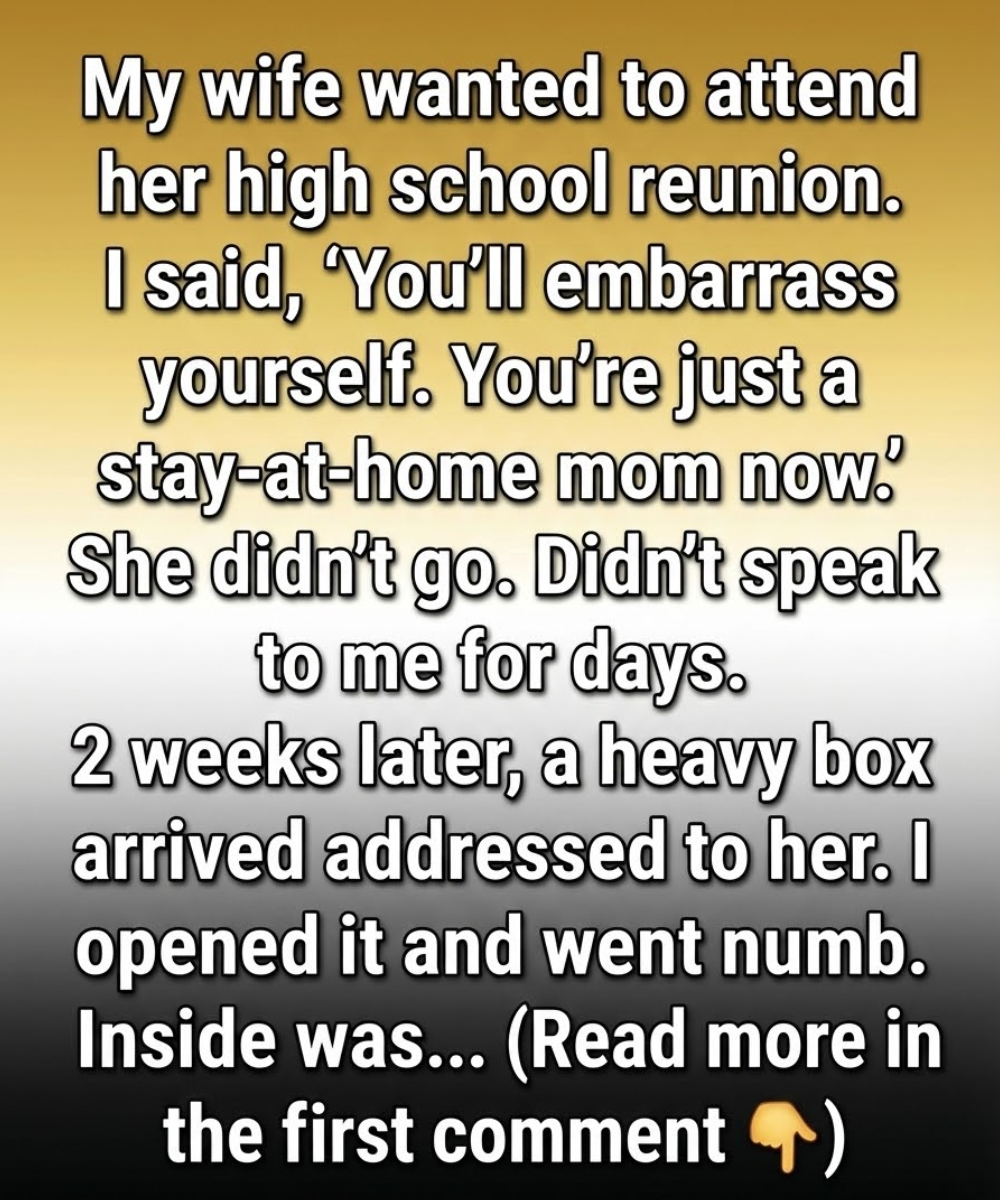 I Underestimated My Wife—Until a Box at Our Door Taught Me a Powerful Lesson. 25 2 2