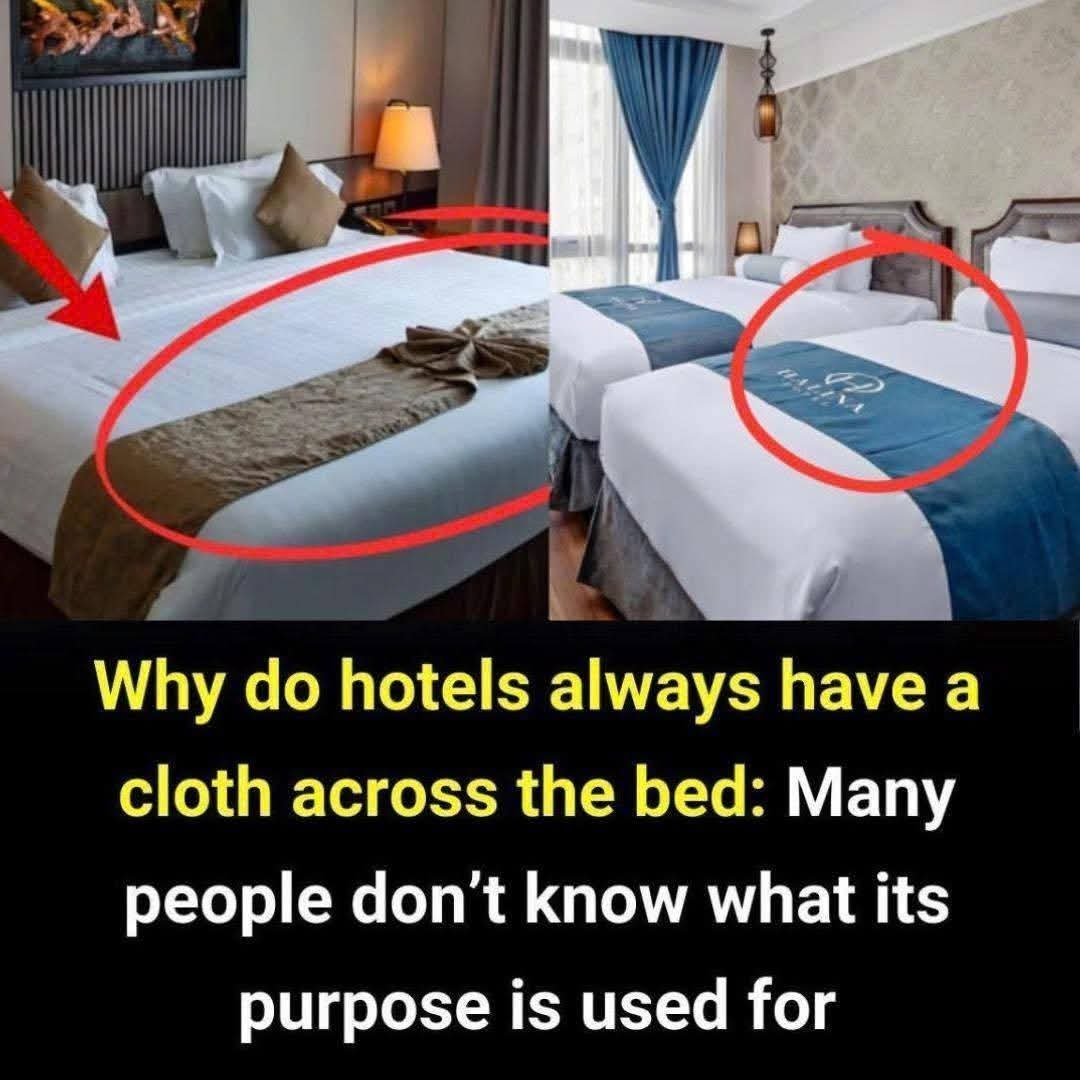 the real reason why hotels Put a strip of cloth on the bed (And it is not Just for Decoration it is more than just decor discover the hidden hygiene secret of the hotel bed scarf 25 IMG 20260122 WA0048