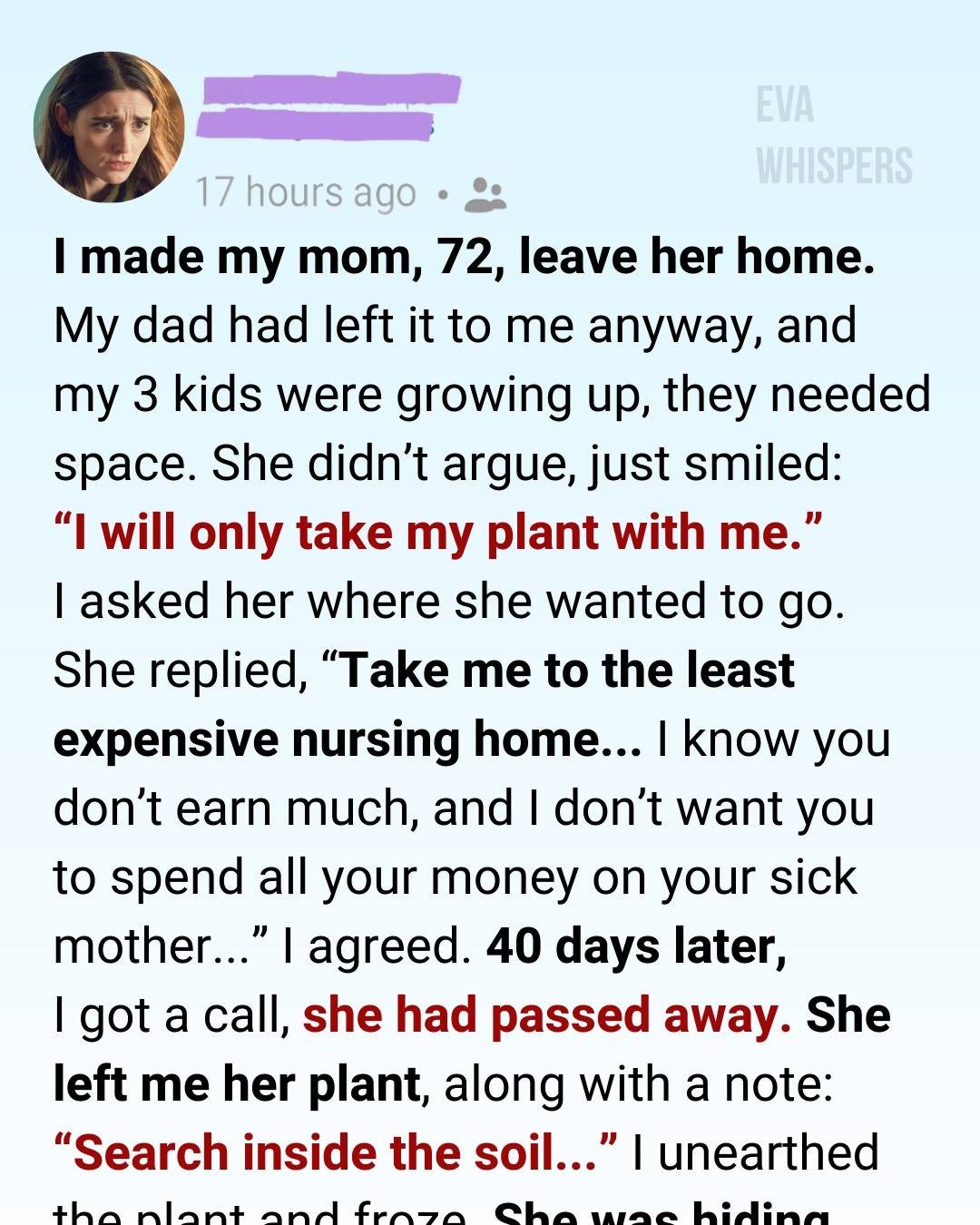I Sent My Sick Mother to the Cheapest Nursing Home—After Her Death, Her Plant Broke Me 25 IMG 20260125 WA0004