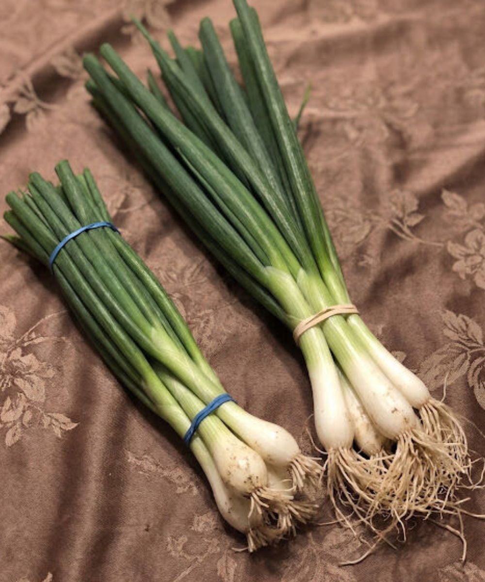 Doctors reveal that eating green onions causes … 25 anh post 2026 01 18T134047.722