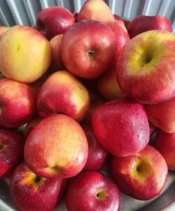 Eating One Apple Every Evening May Bring Surprising Health Benefits 25 640114021 1475744473944247 6574388902812897895 n