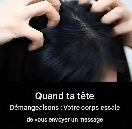 1781880626414