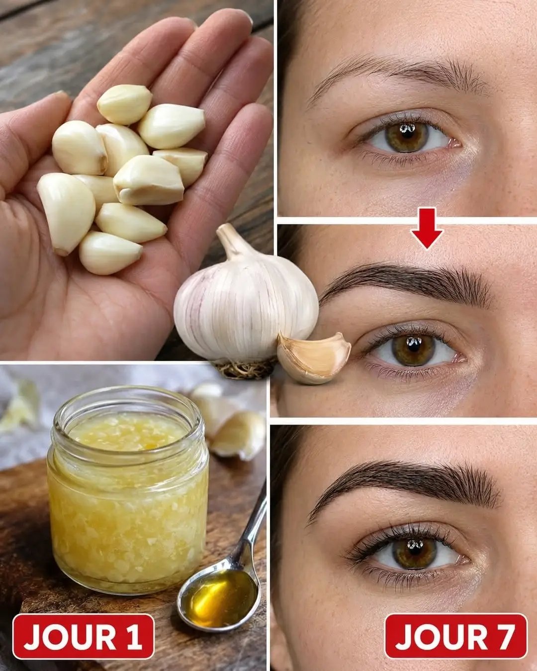 # Comment faire pousser ses sourcils et ses cils en 7 jours avec de l’ail et de l’huile naturelle 25 1781994348122