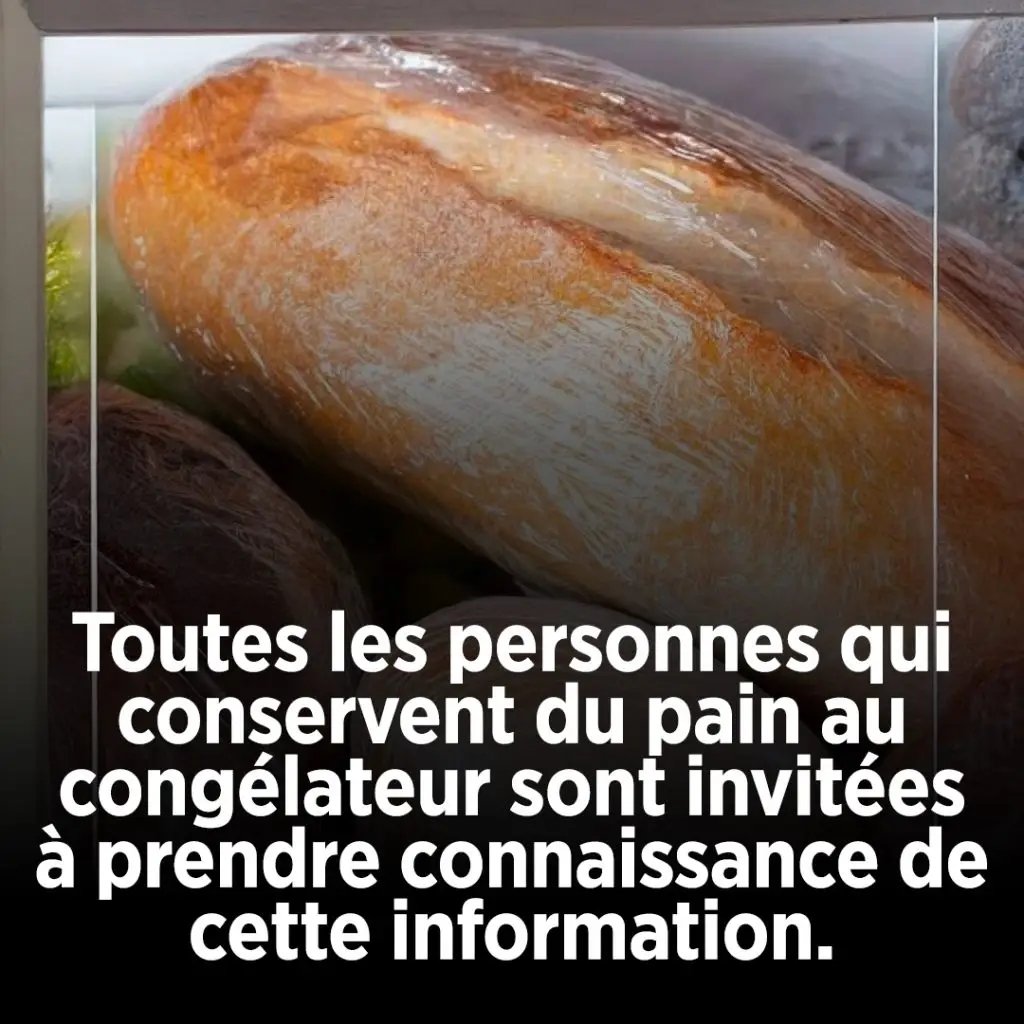 Du pain au congélateur ? Voici les clés pour bien le garder ! ✨ 25 1782055062058