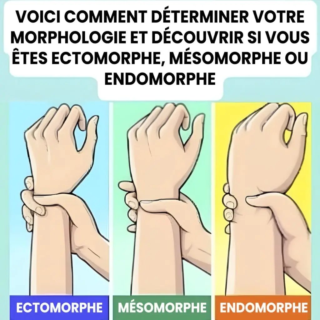 Nous allons vous apprendre à identifier votre type de corps et ... Voir plus 25 1782081074548