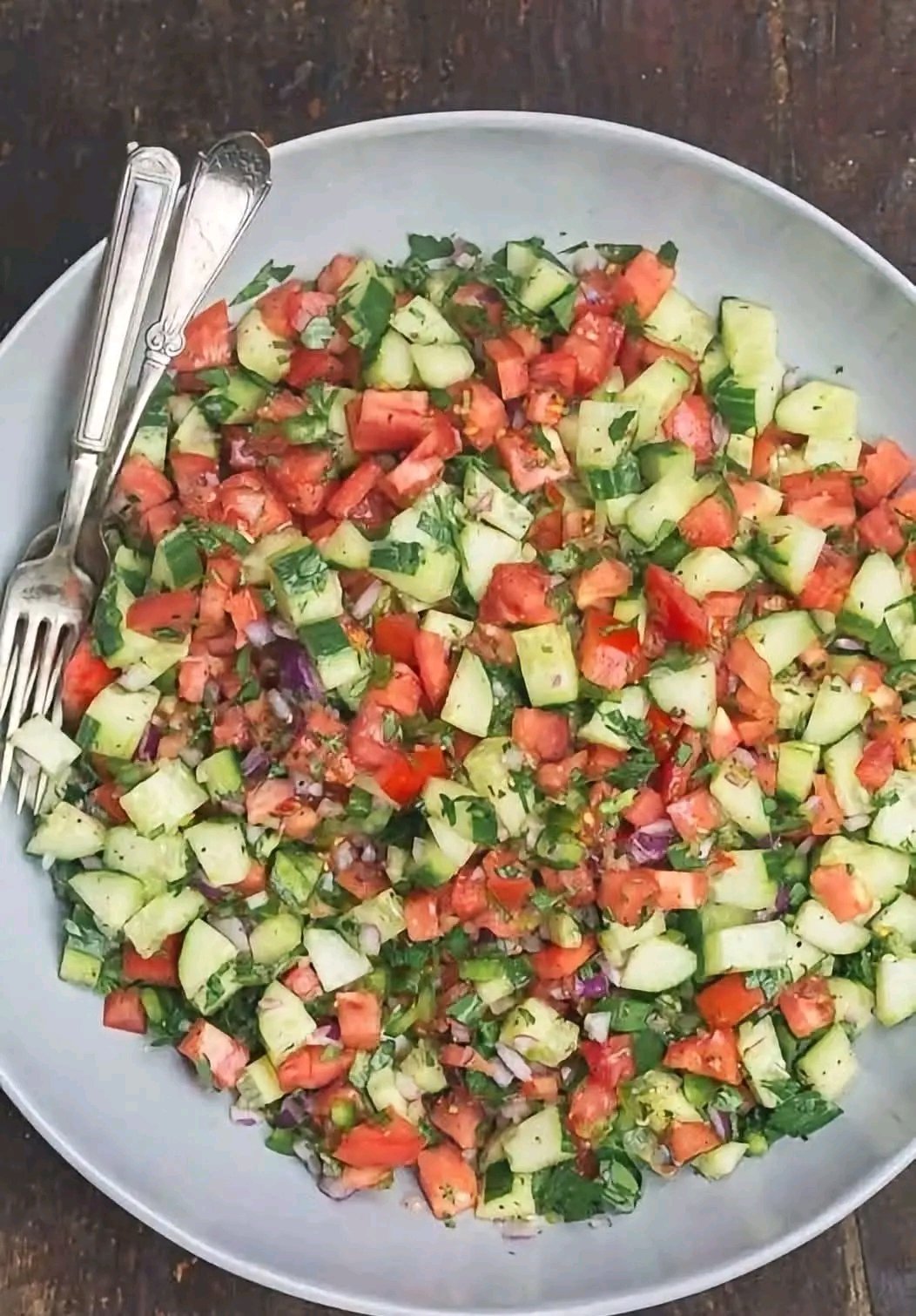 Une salade qui vide le ventre et brûle les graisses 25 1782117125023