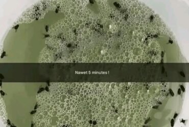 1782138798341