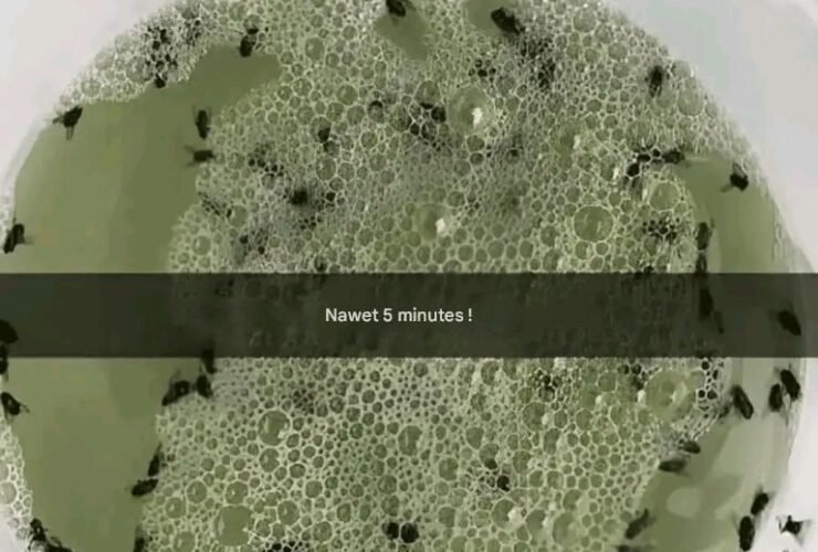 1782138798341