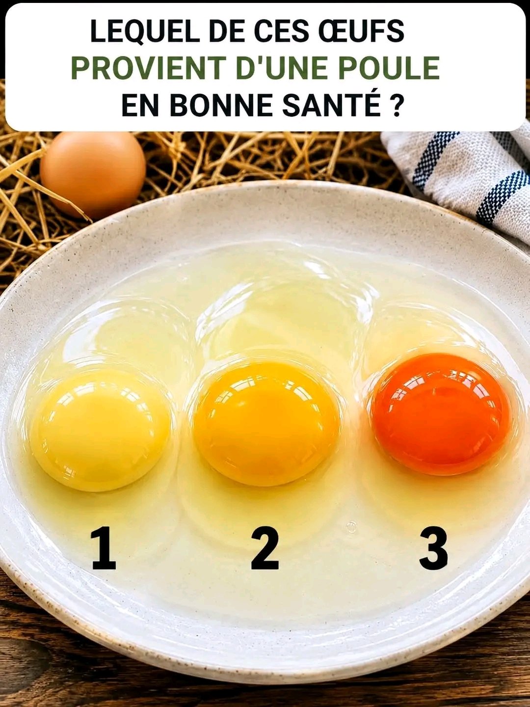 Un matin tranquille, pendant que tu préparais les œufs brouillés, qui a choisi de te prêter attention ? 25 1782545843353