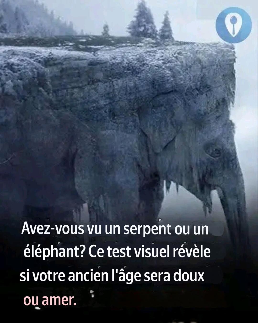 Serpent ou éléphant? Votre Réponse Pourrait Vous Surprendre. Détails dans 25 translation 20260622 195855