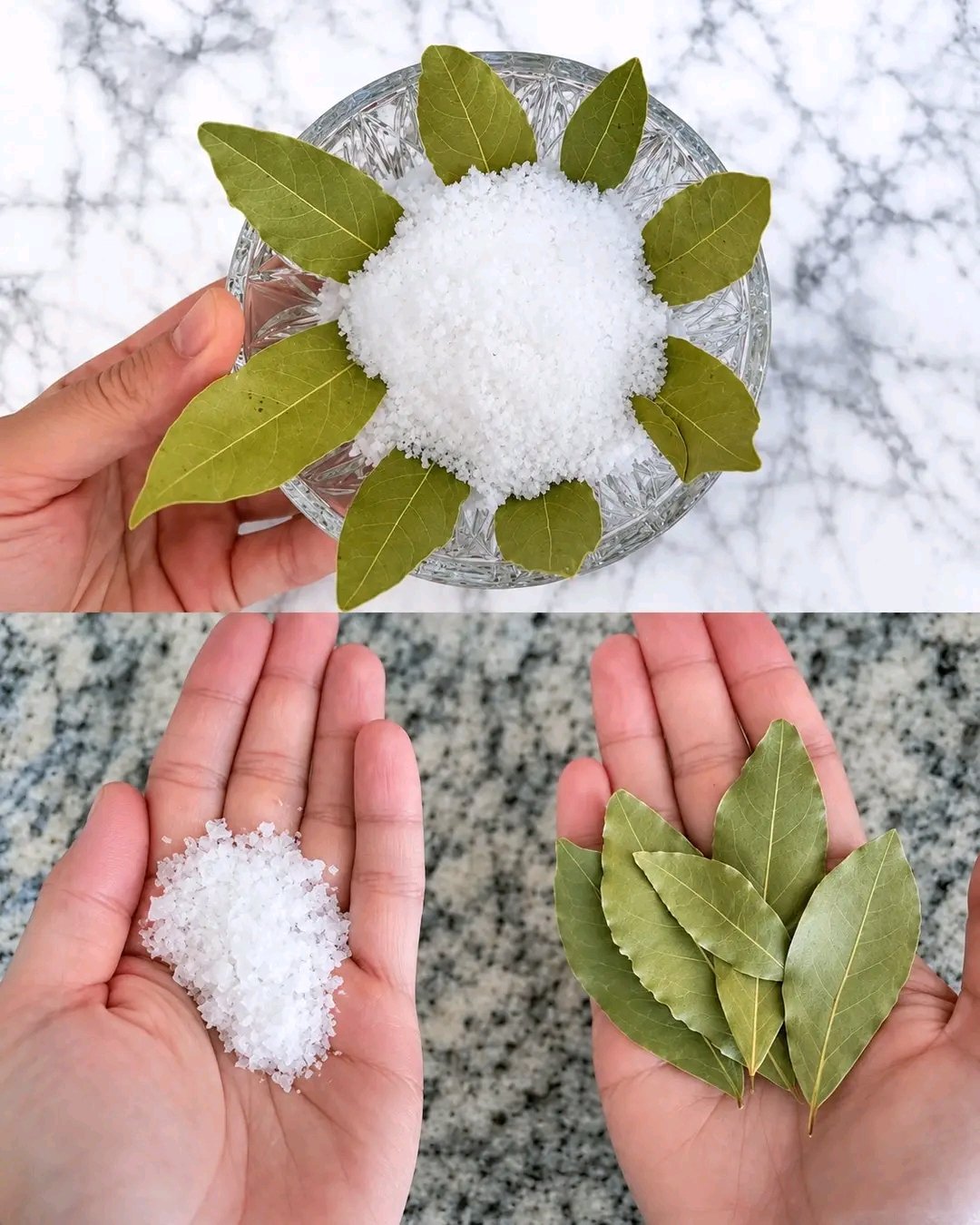 Ma grand-mère a toujours l’habitude de placer des feuilles de laurier dans du sel . Quand j’ai enfin compris pourquoi, j’ai été vraiment étonnée — je n’avais jamais vu une astuce pareille . Depuis, je la reproduis moi-même, et le résultat est bluffant . Voici à quoi sert exactement le sel associé aux feuilles de laurier ‼️⚠ 25 1782953797685