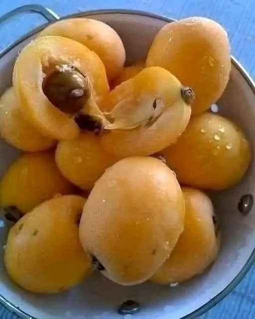 J'ai passé toute ma vie à essayer de me souvenir du nom de ce fruit. » Voir la description dans le premier commentaire. 25 1783356045619