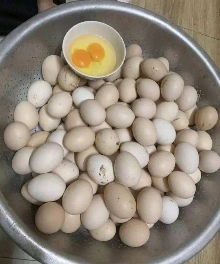 1783773862322 1
