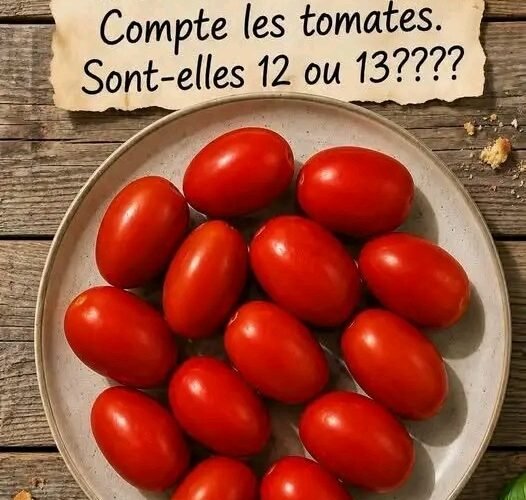 1783852311164