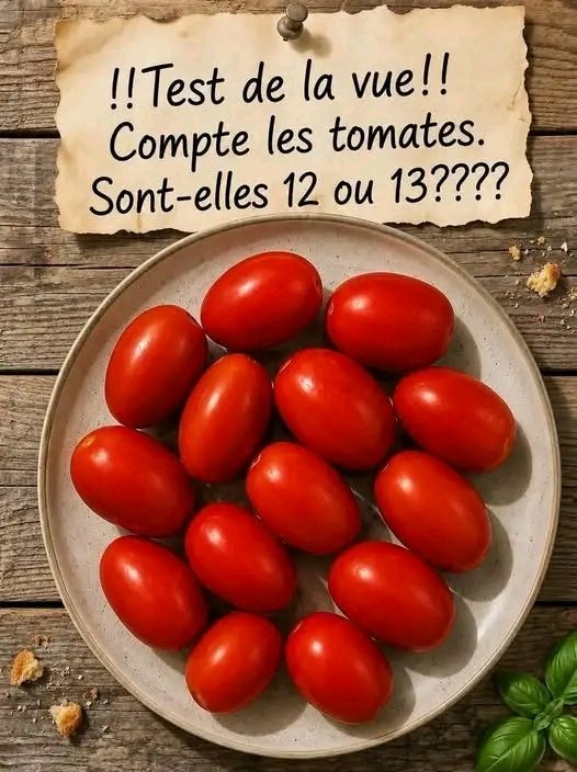 # 93% des internautes se disputent sur le nombre exact de tomates dans cette assiette ! Voir le 1er commentaire 25 1783852311164