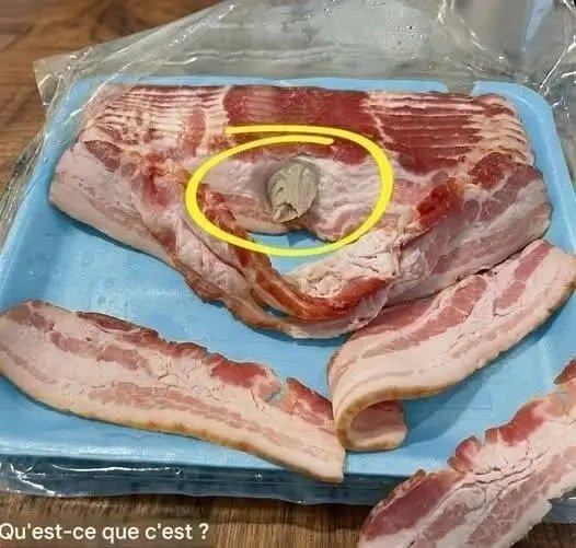 Je suis allée au magasin et j'ai acheté du bacon. Je l'ai ramené à la maison pour le manger. En ouvrant le paquet et en prenant quelques tranches, j'ai trouvé ça dedans. Franchement, j'ai perdu l'appétit instantanément. Je suis restée assise dans la cuisine pendant une demi-heure à le fixer, essayant de comprendre ce que c'est. Quelqu'un saurait ce que ça pourrait être ? La réponse se trouve dans le premier commentaire 25 1783886998466