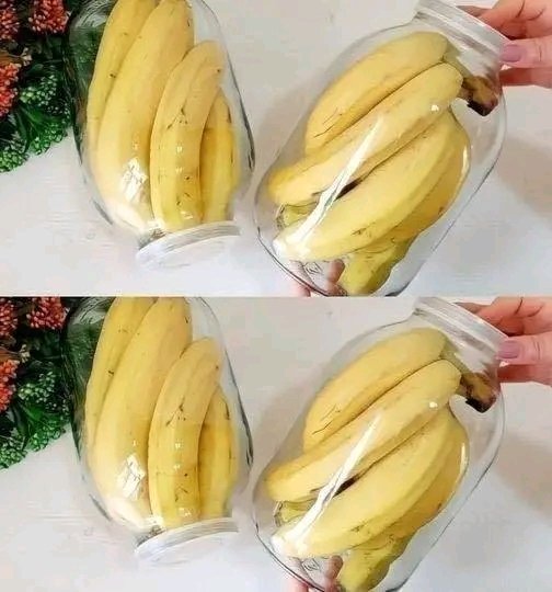 Comment éviter que les bananes ne pourrissent et ne noircissent après quelques jours : grâce à cette méthode, elles se conserveront jusqu’à deux ans. La banane est un fruit très apprécié. 25 1784145954085
