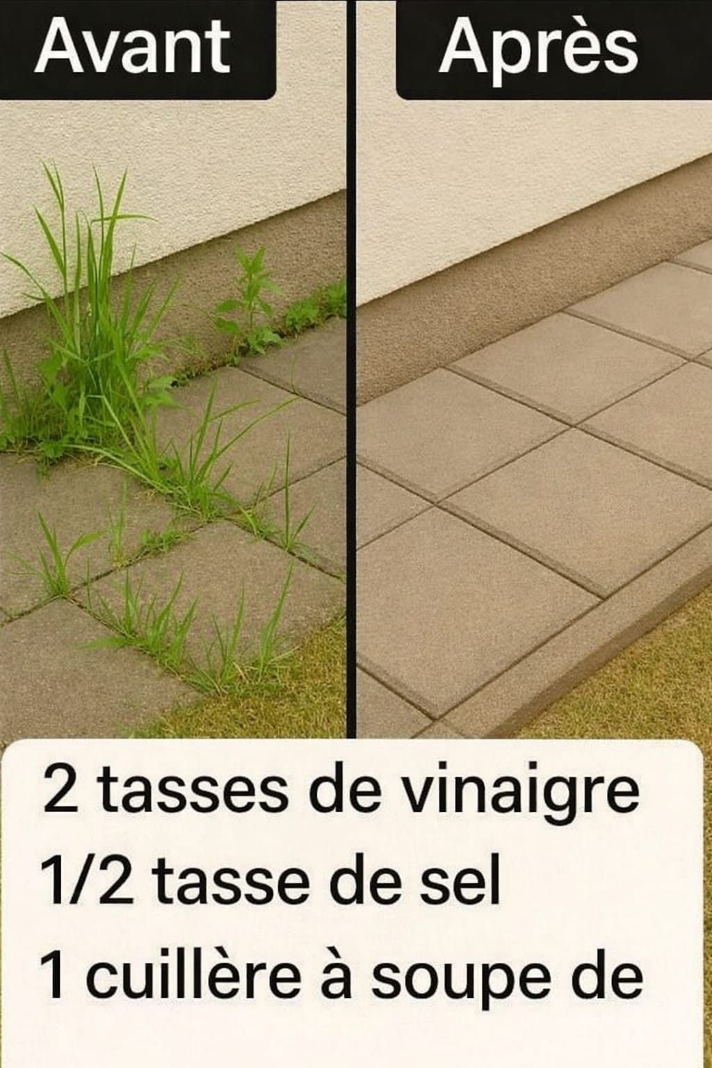 # Comment fabriquer un herbicide maison super efficace 25 677132670 1869847940400172 5605737008480522094 n