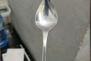 730689081 1563632385466190 5852005069575815215 n