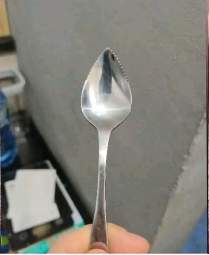 Cuillère bizarre à rainures trouvée dans un logement loué. À quoi sert-elle ? 25 730689081 1563632385466190 5852005069575815215 n