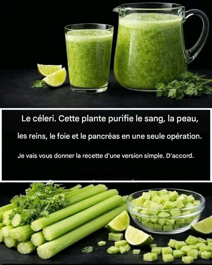 ## Purifie le foie 150 fois plus fort que l’ail et le citron : la recette miraculeuse de grand-mère 25 741720022 122109940749315647 7621227020096106191 n