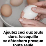 plongez les dans leau ou les oeufs bouillent la coquille se detachera presque toute seule.jpg