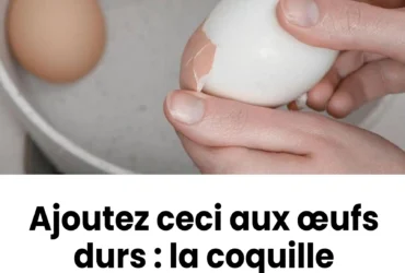 plongez les dans leau ou les oeufs bouillent la coquille se detachera presque toute seule.jpg