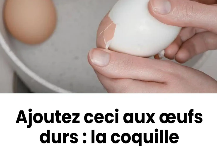 plongez les dans leau ou les oeufs bouillent la coquille se detachera presque toute seule.jpg
