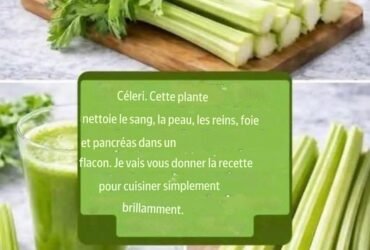 translation 20260701 114017