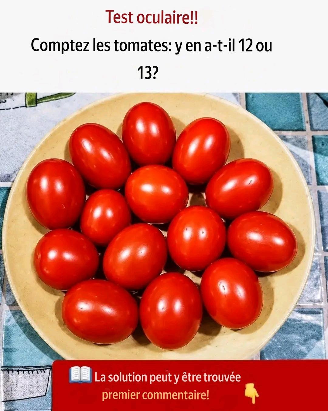 translation 20260707 152251