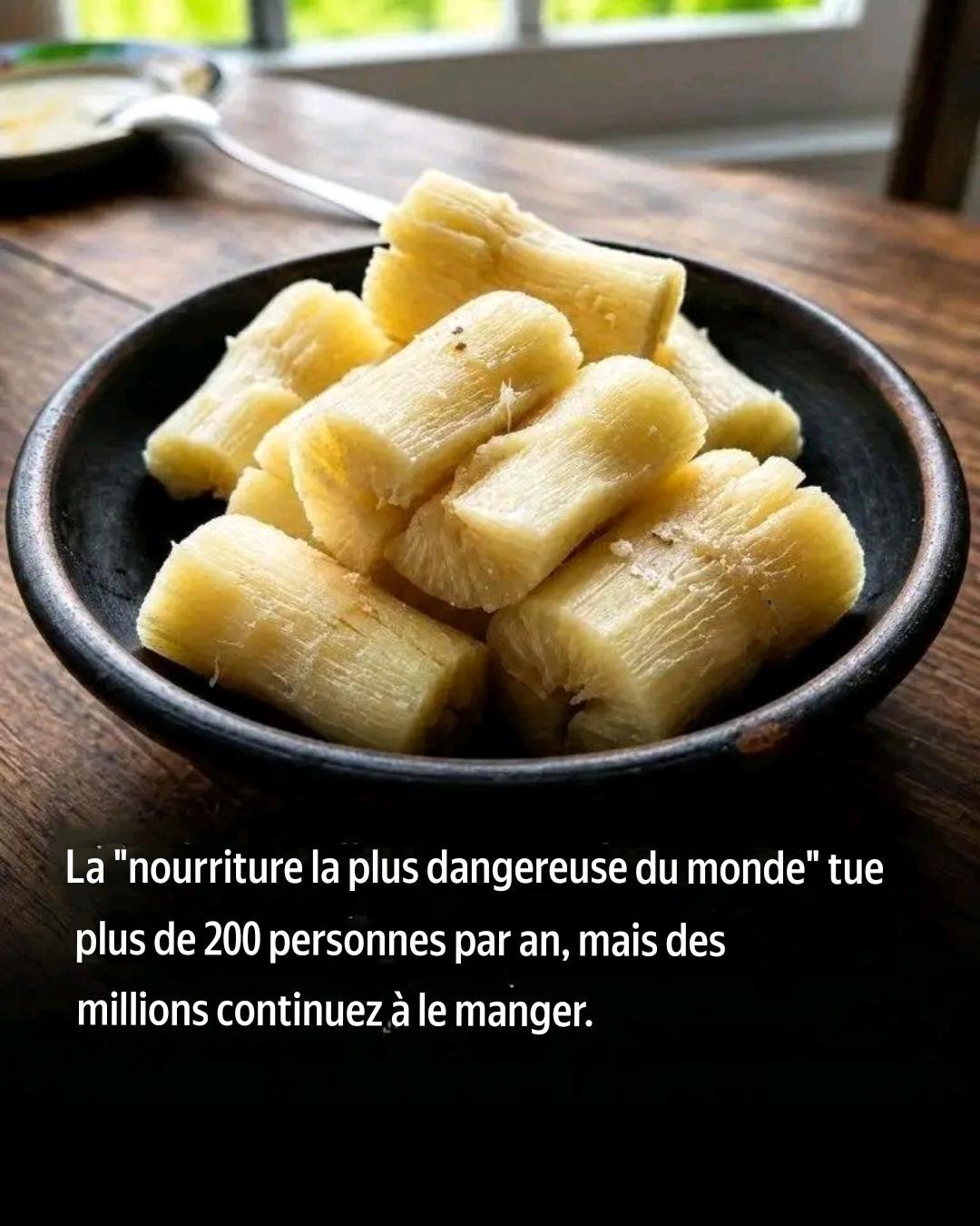 ## Le manioc : un aliment important qui doit être préparé avec soin pour éviter des risques mortels 25 translation 20260709 004851
