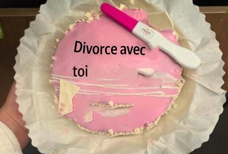 translation 20260709 133707
