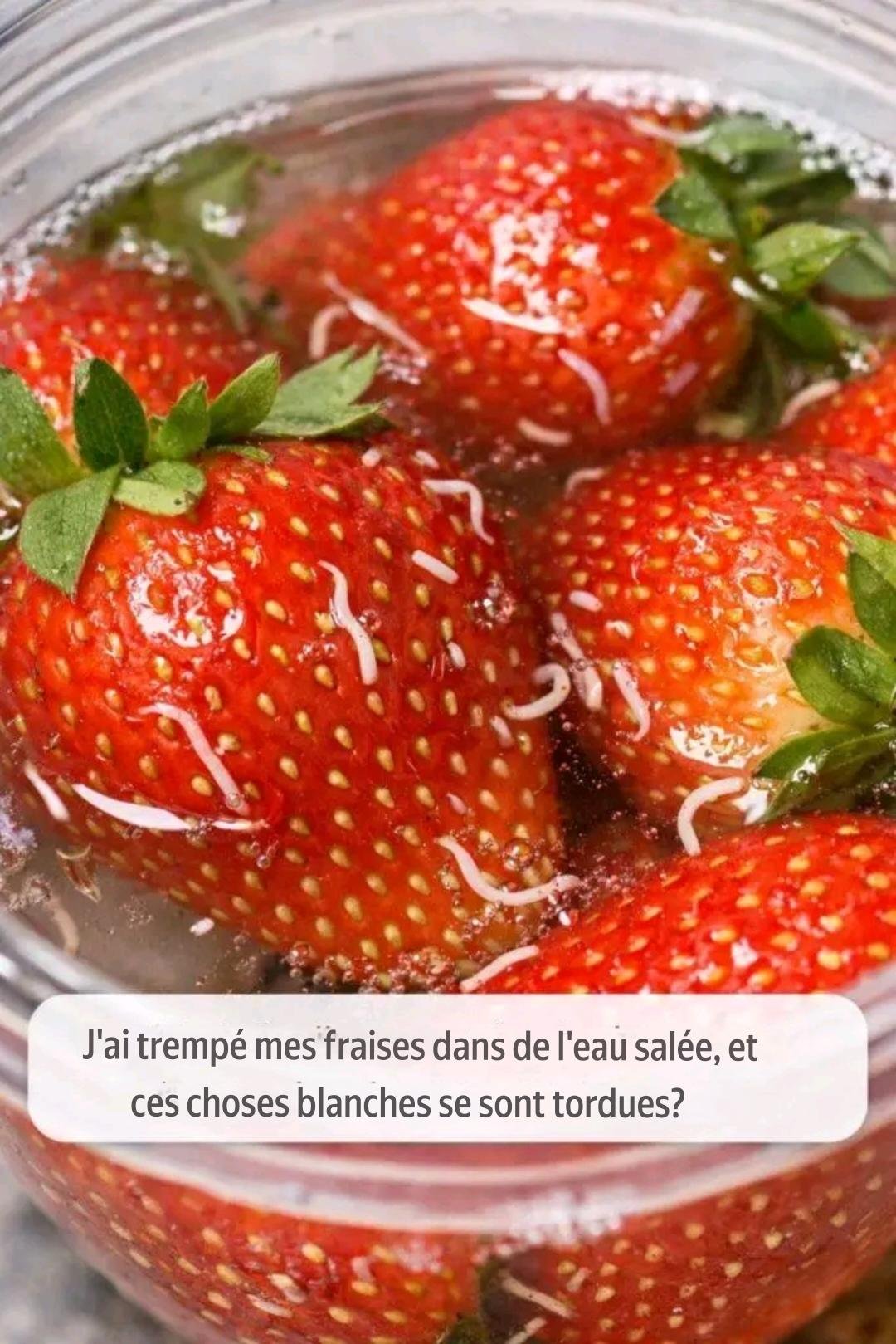 J'ai fait tremper mes fraises dans de l'eau salée, et ces choses blanches se sont enroulées sur elles-mêmes ? 25 translation 20260714 014418